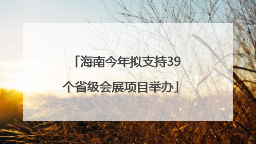 海南今年拟支持39个省级会展项目举办