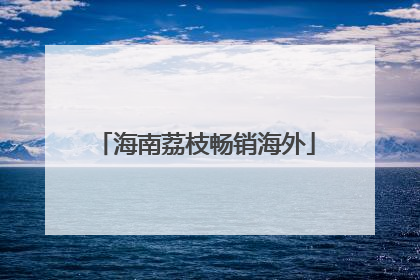 海南荔枝畅销海外