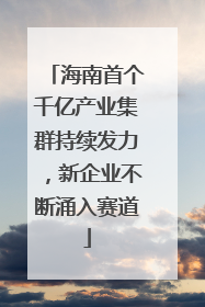 海南首个千亿产业集群持续发力，新企业不断涌入赛道