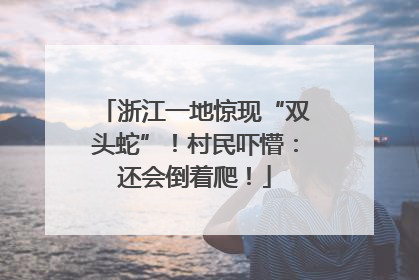 浙江一地惊现“双头蛇”！村民吓懵：还会倒着爬！