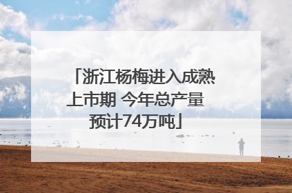 浙江杨梅进入成熟上市期 今年总产量预计74万吨