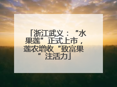 浙江武义：“水果莲”正式上市，莲农增收“致富果”注活力
