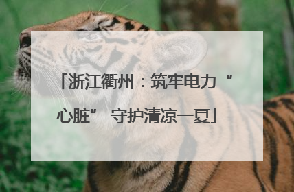 浙江衢州：筑牢电力“心脏” 守护清凉一夏