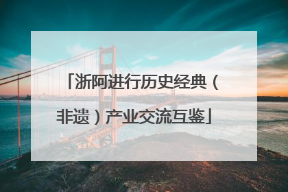 浙阿进行历史经典（非遗）产业交流互鉴