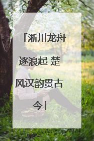 淅川龙舟逐浪起 楚风汉韵贯古今