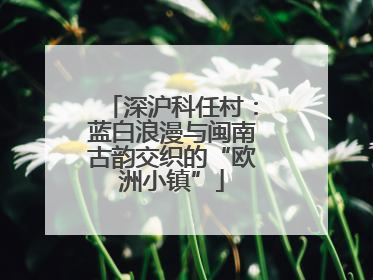 深沪科任村：蓝白浪漫与闽南古韵交织的“欧洲小镇”