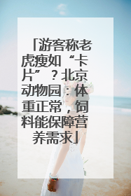 游客称老虎瘦如“卡片”？北京动物园：体重正常，饲料能保障营养需求