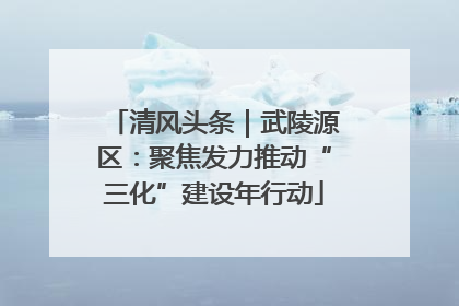 清风头条｜武陵源区：聚焦发力推动“三化”建设年行动