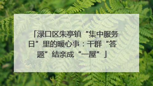 渌口区朱亭镇“集中服务日”里的暖心事：干群“答题”结亲成“一屋”