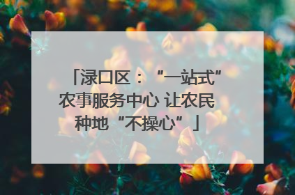 渌口区：“一站式”农事服务中心 让农民种地“不操心”
