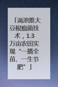 渑池推大豆根瘤菌技术，1.3万亩农田实现“一播全苗、一生节肥”