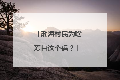 渤海村民为啥爱扫这个码？