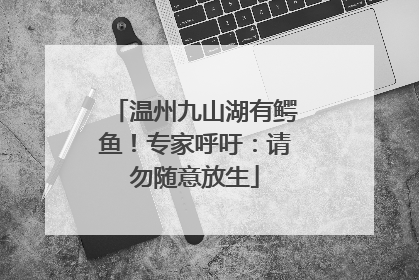 温州九山湖有鳄鱼！专家呼吁：请勿随意放生
