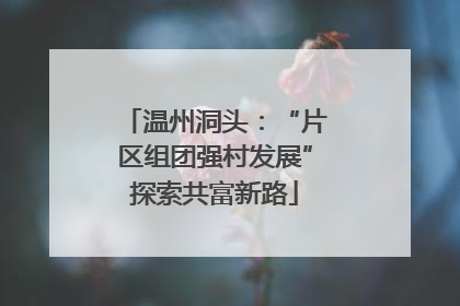 温州洞头：“片区组团强村发展”探索共富新路