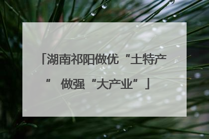 湖南祁阳做优“土特产” 做强“大产业”