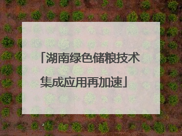 湖南绿色储粮技术集成应用再加速