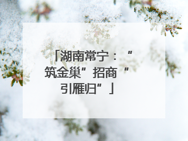 湖南常宁：“筑金巢”招商“引雁归”