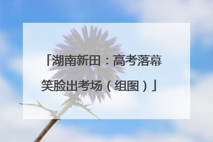 湖南新田：高考落幕 笑脸出考场（组图）