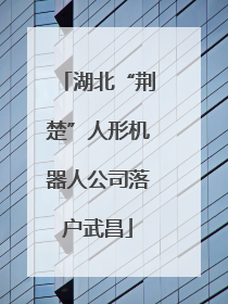 湖北“荆楚”人形机器人公司落户武昌