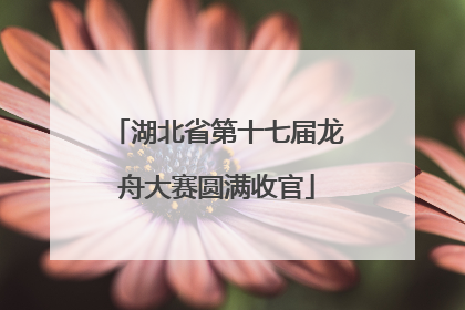 湖北省第十七届龙舟大赛圆满收官