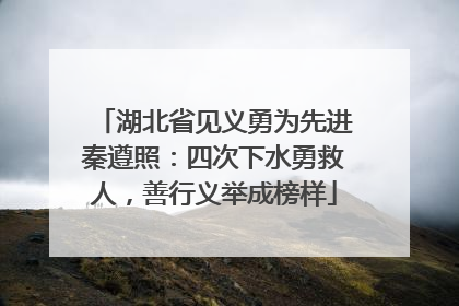 湖北省见义勇为先进秦遵照：四次下水勇救人，善行义举成榜样