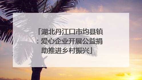 湖北丹江口市均县镇：爱心企业开展公益捐助推进乡村振兴