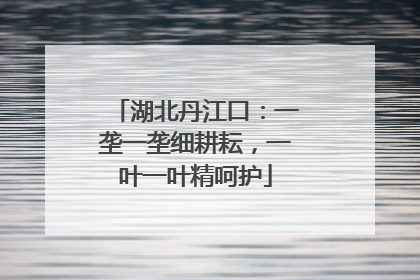 湖北丹江口：一垄一垄细耕耘，一叶一叶精呵护