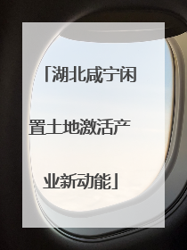 湖北咸宁闲置土地激活产业新动能