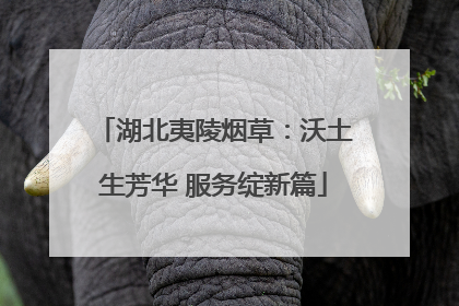 湖北夷陵烟草：沃土生芳华 服务绽新篇
