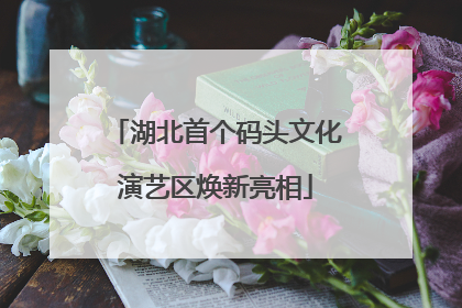 湖北首个码头文化演艺区焕新亮相
