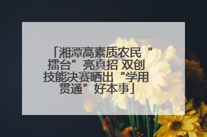 湘潭高素质农民“擂台”亮真招 双创技能决赛晒出“学用贯通”好本事