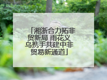 湘浙合力拓非贸新局 雨花义乌携手共建中非贸易新通道