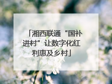 湘西联通“国补进村”让数字化红利惠及乡村