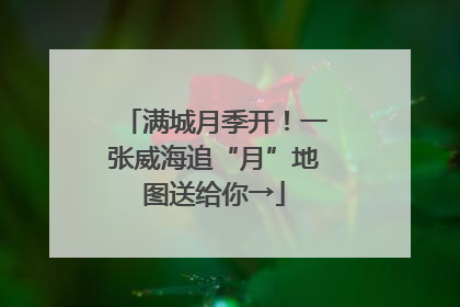 满城月季开！一张威海追“月”地图送给你→