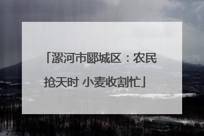 漯河市郾城区：农民抢天时 小麦收割忙