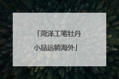 菏泽工笔牡丹小品远销海外