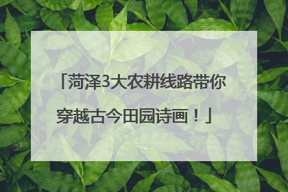 菏泽3大农耕线路带你穿越古今田园诗画！