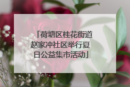 荷塘区桂花街道赵家冲社区举行夏日公益集市活动