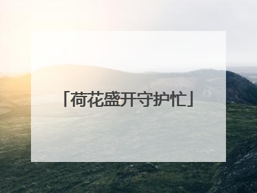 荷花盛开守护忙