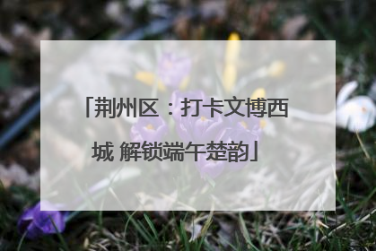 荆州区：打卡文博西城 解锁端午楚韵