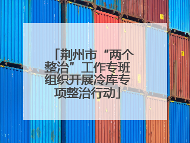 荆州市“两个整治”工作专班组织开展冷库专项整治行动
