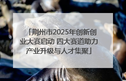 荆州市2025年创新创业大赛启动 四大赛道助力产业升级与人才集聚