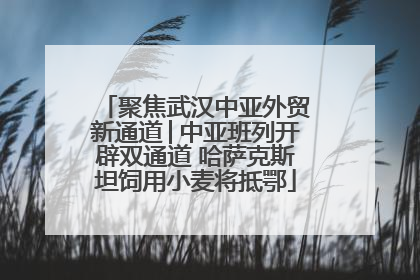 聚焦武汉中亚外贸新通道│中亚班列开辟双通道 哈萨克斯坦饲用小麦将抵鄂