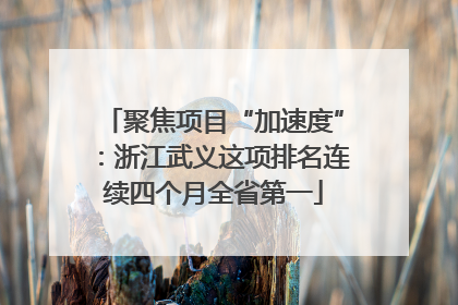 聚焦项目“加速度”：浙江武义这项排名连续四个月全省第一