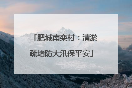 肥城南栾村：清淤疏堵防大汛保平安