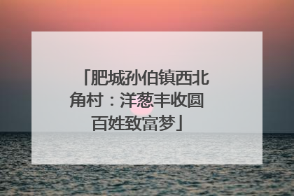 肥城孙伯镇西北角村：洋葱丰收圆百姓致富梦