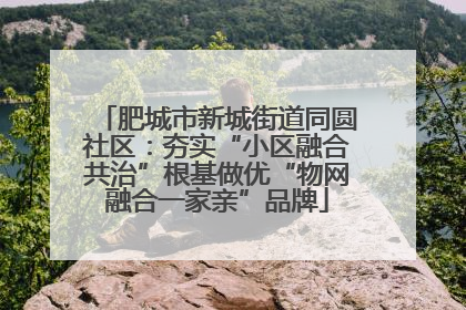 肥城市新城街道同圆社区：夯实“小区融合共治”根基做优“物网融合一家亲”品牌