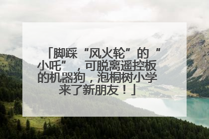 脚踩“风火轮”的“小吒”，可脱离遥控板的机器狗，泡桐树小学来了新朋友！