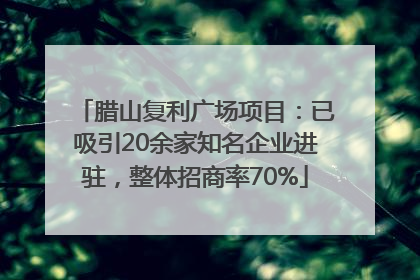 腊山复利广场项目：已吸引20余家知名企业进驻，整体招商率70%