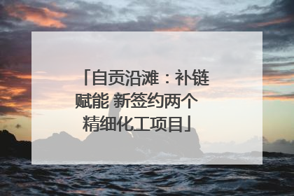 自贡沿滩：补链赋能 新签约两个精细化工项目